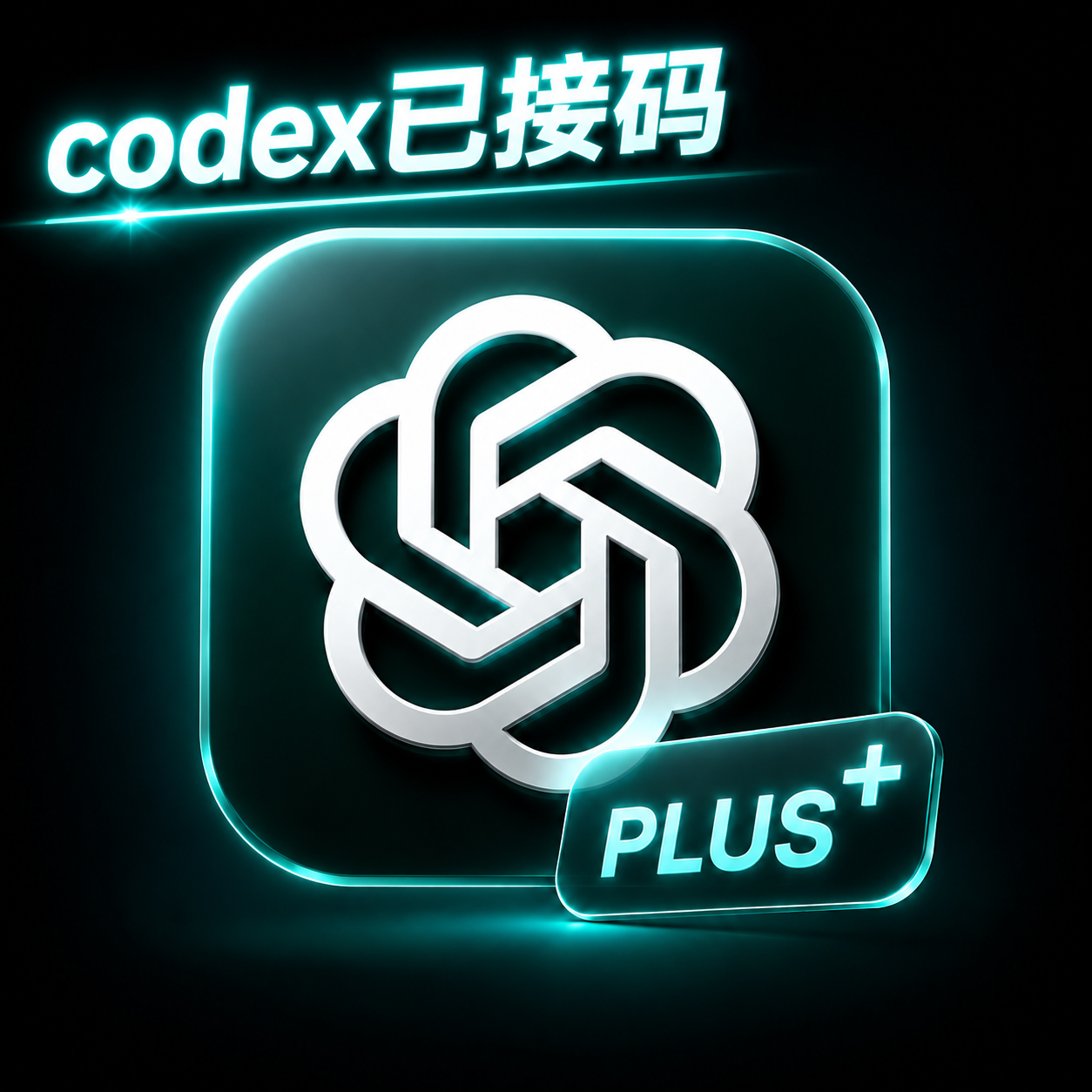 【源头供货】Plus独享成品账号纯手工|质保首登|已接马商品图片