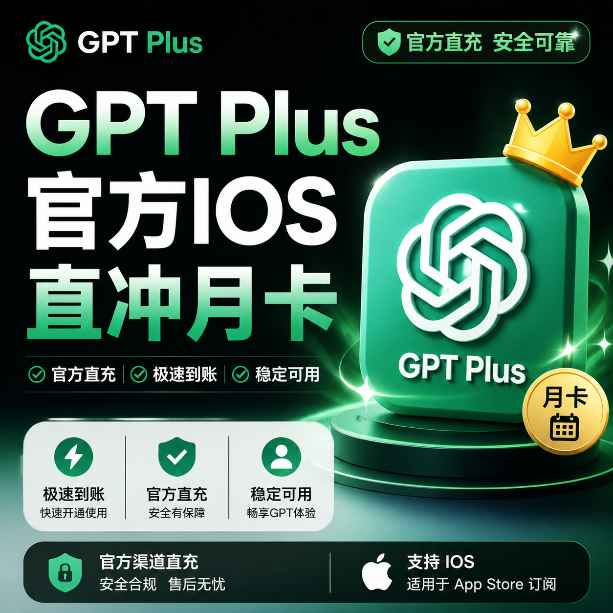 GPT Plus官方IOS直冲月卡【手动充值，直接联系客服】商品图片