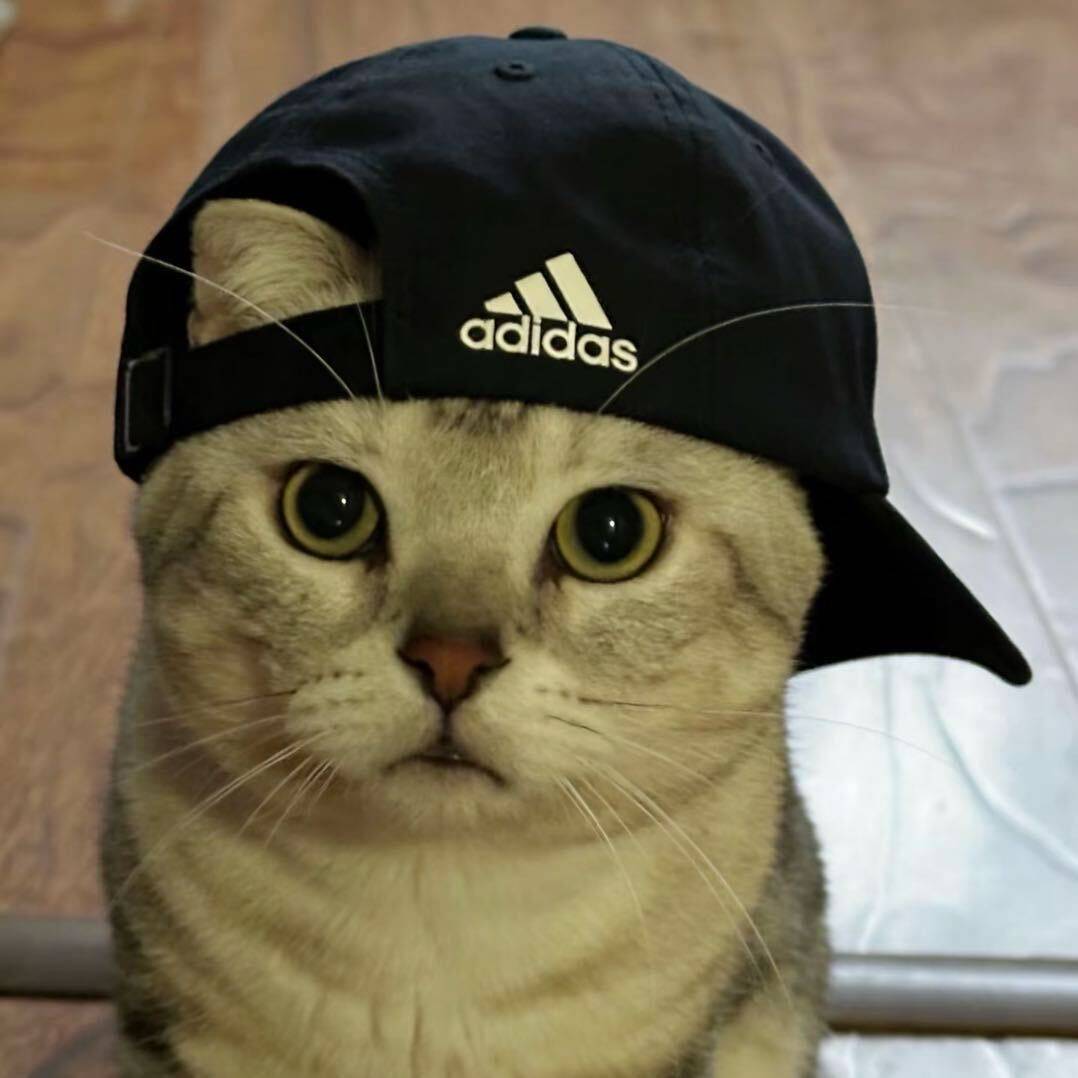 yoloo的小店
