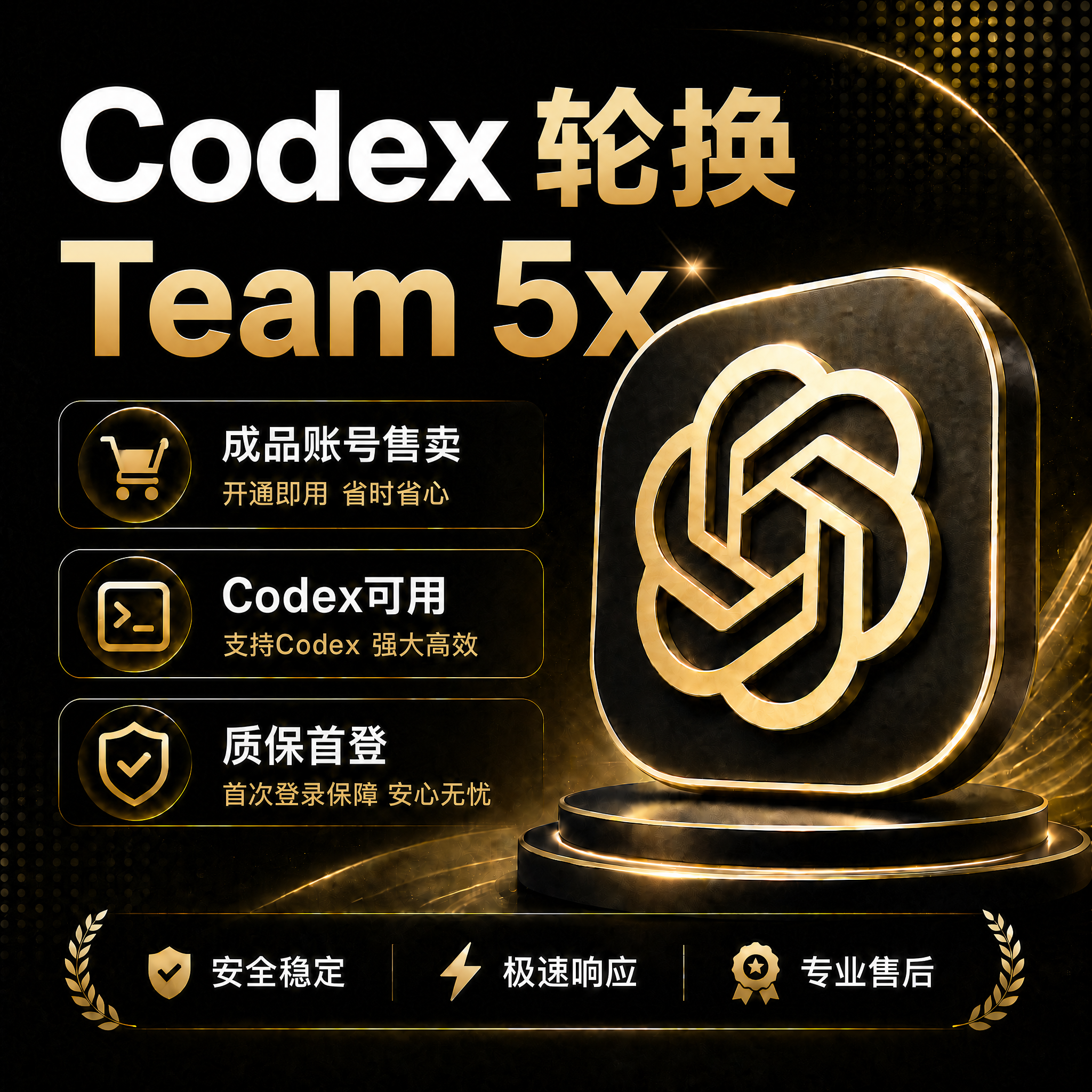 5x team 子号反代 【过夜】商品图片