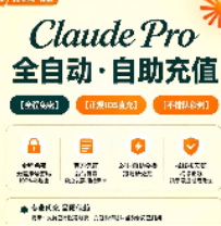 Claude Pro会员官方直充 【正规IOS保障】商品图片