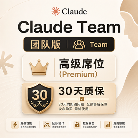 Claude Team团队版 高级席位（Premium）28天质保，有货的，可联系购买免手续费商品图片