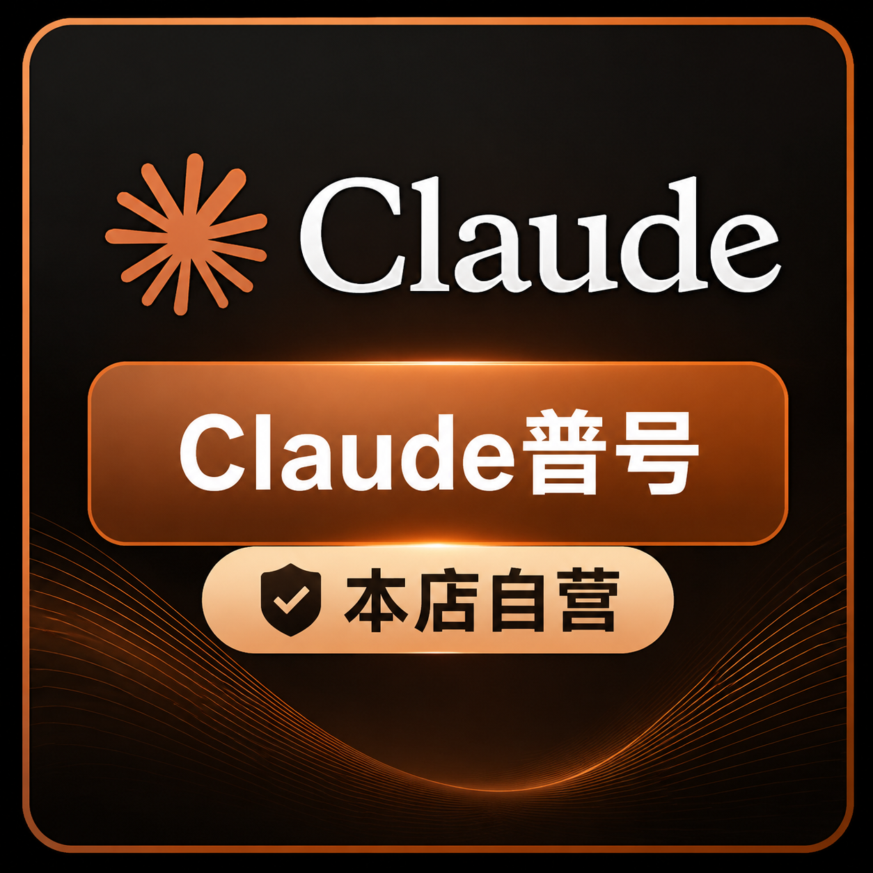 claude普通账号（mail子域名邮箱，美国家宽注册）商品图片