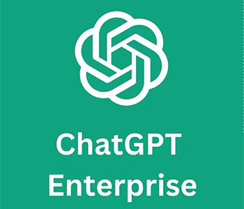 ChatGPT Business团队版席位|28天全面保修，可用PRO大模型商品图片