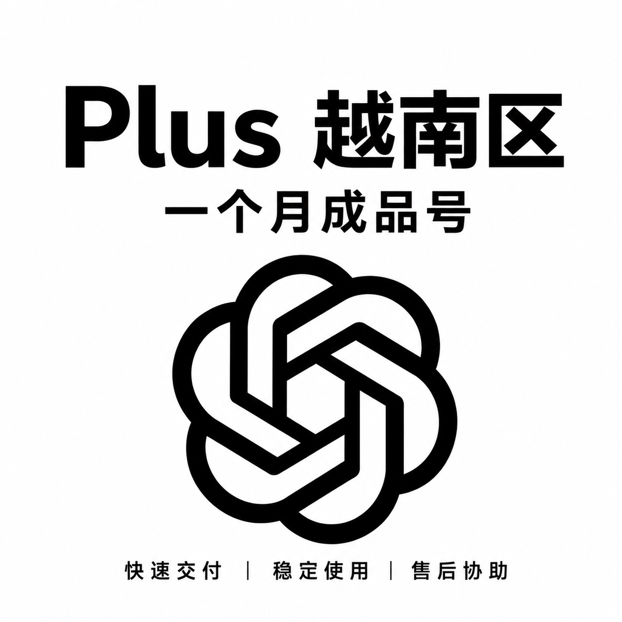 【成品号】GPT Plus 一个月（越南区）【质保一个月】