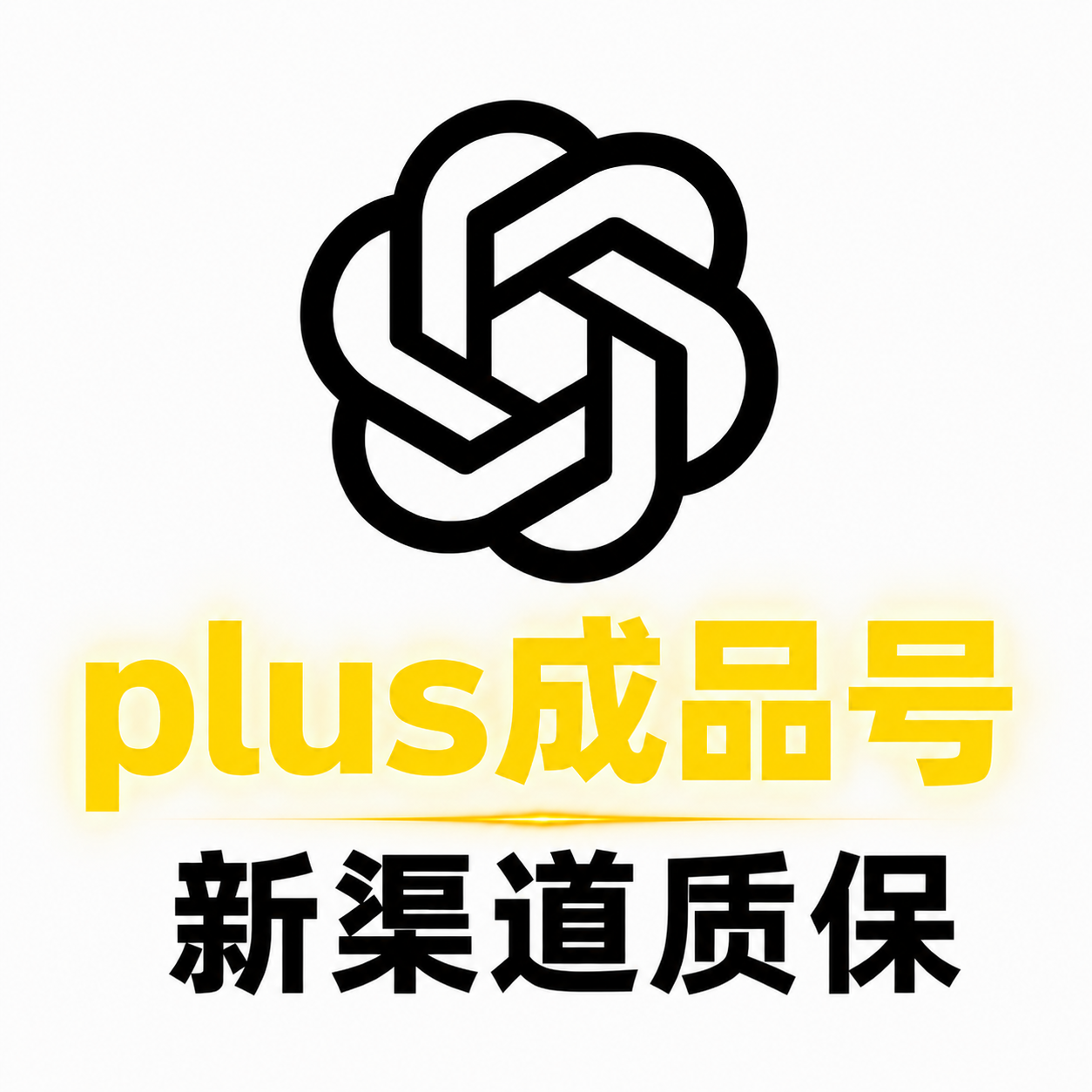越南硬货 gptplus  绑卡支付 | 质保7天 | codex需绑卡商品图片