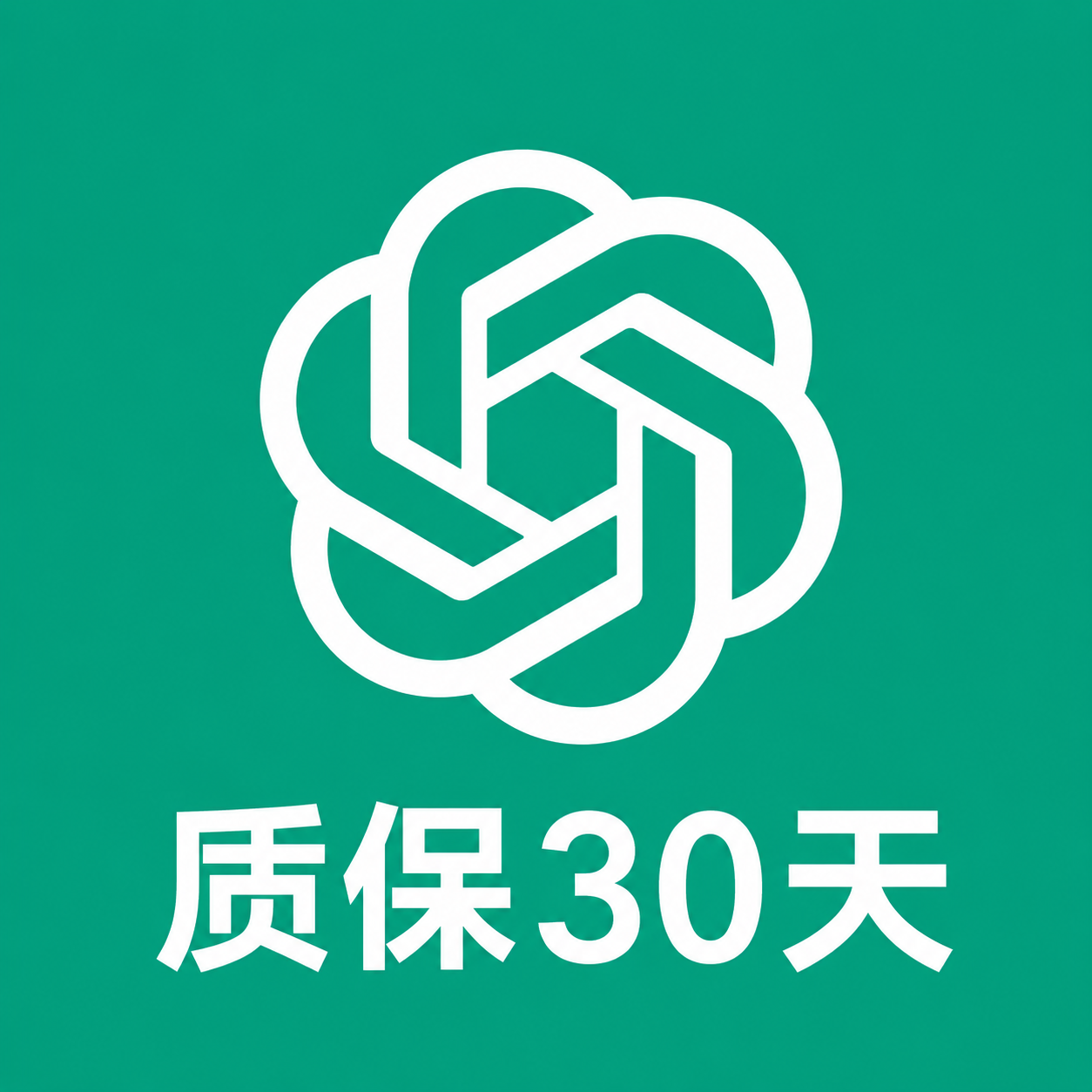 官网登录 GPT Plus 成品号 独享月会员【质保30天】商品图片