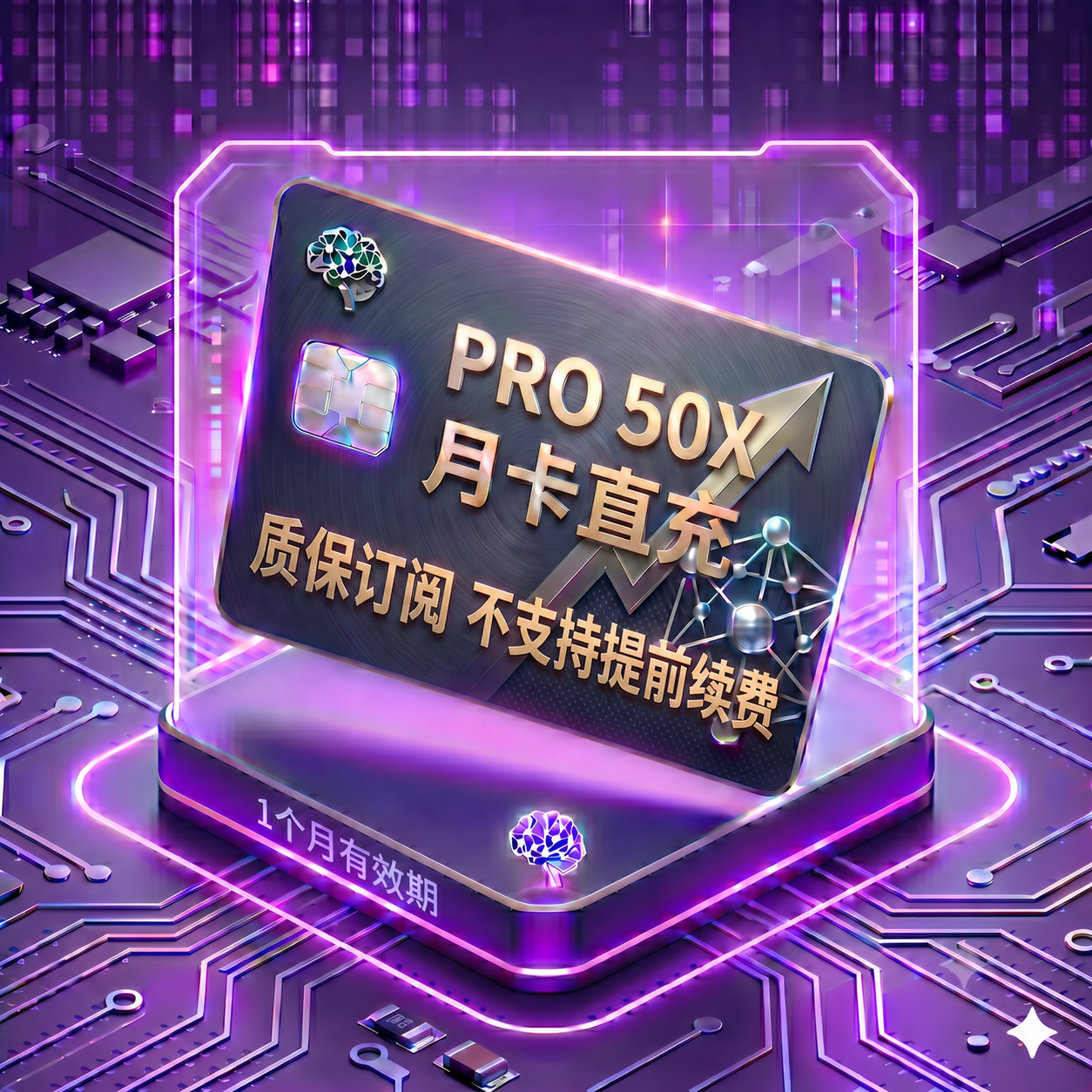 Pro 50X 稳定正规渠道直充1（质保订阅，封号不质保，不支持提前续费）商品图片