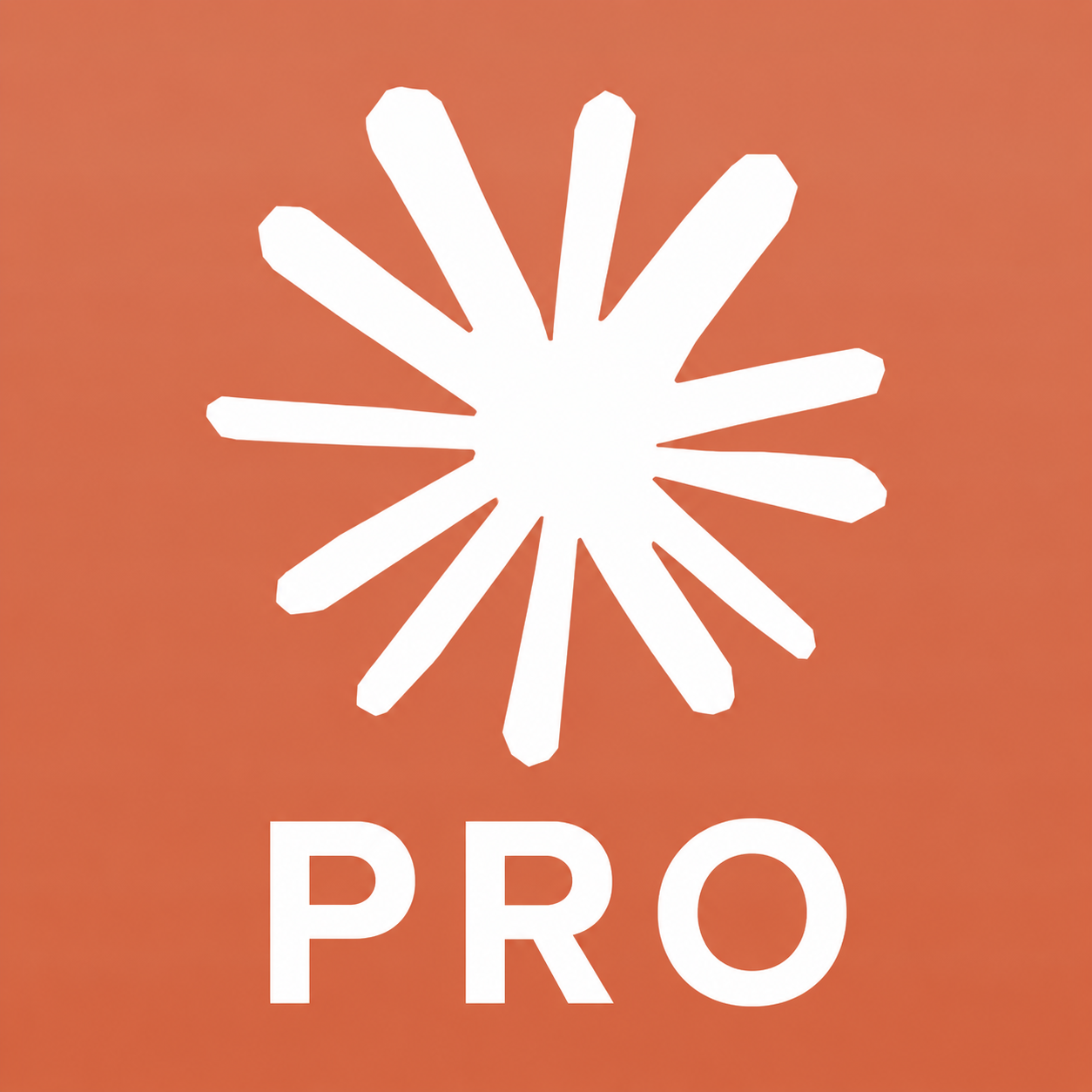【官方充值卡付】CLAUDE Pro 官方充值（月卡）（质保订阅）商品图片