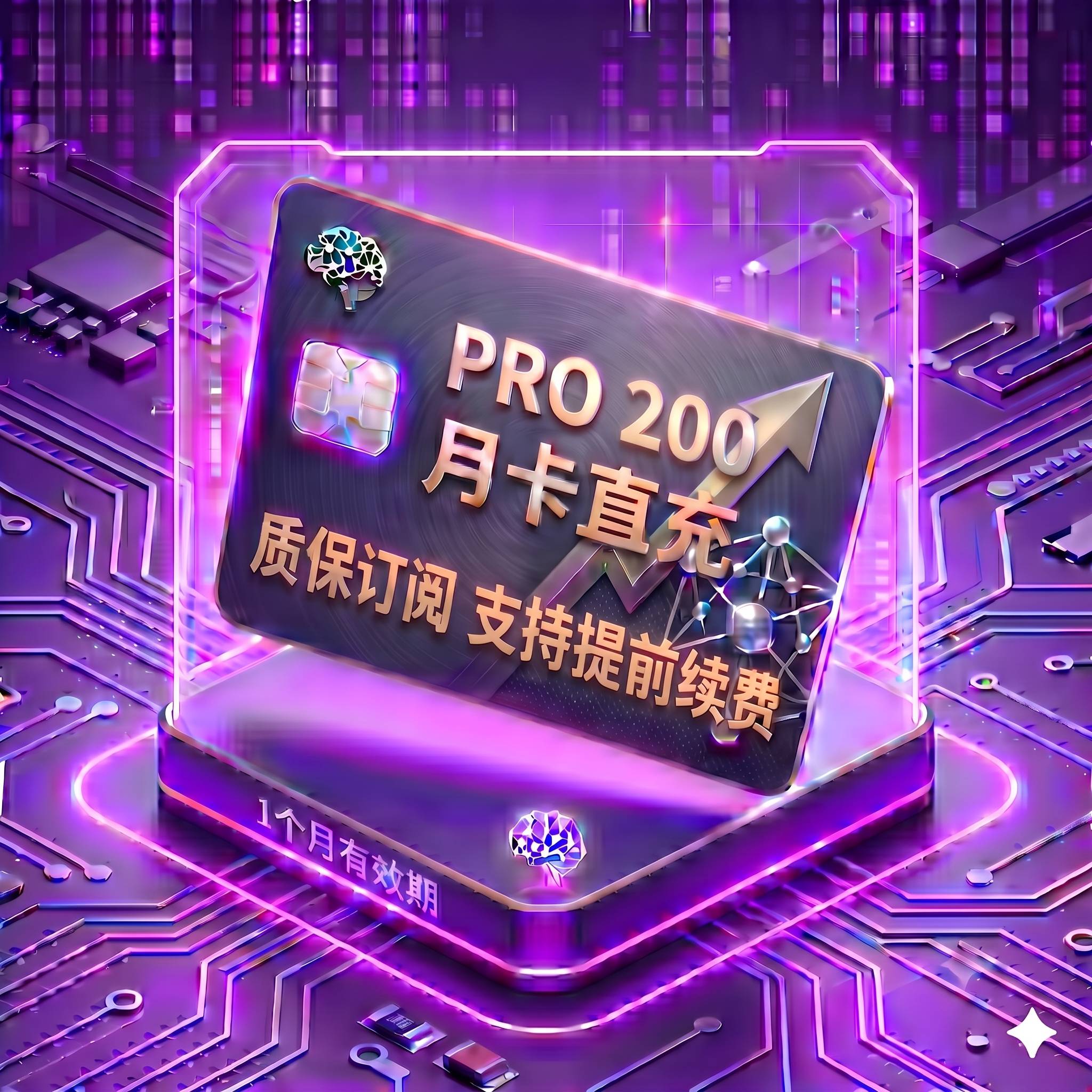 Pro 200 稳定正规渠道直充4（质保订阅，封号不质保，支持覆盖升级，卡密自助充值服务）
