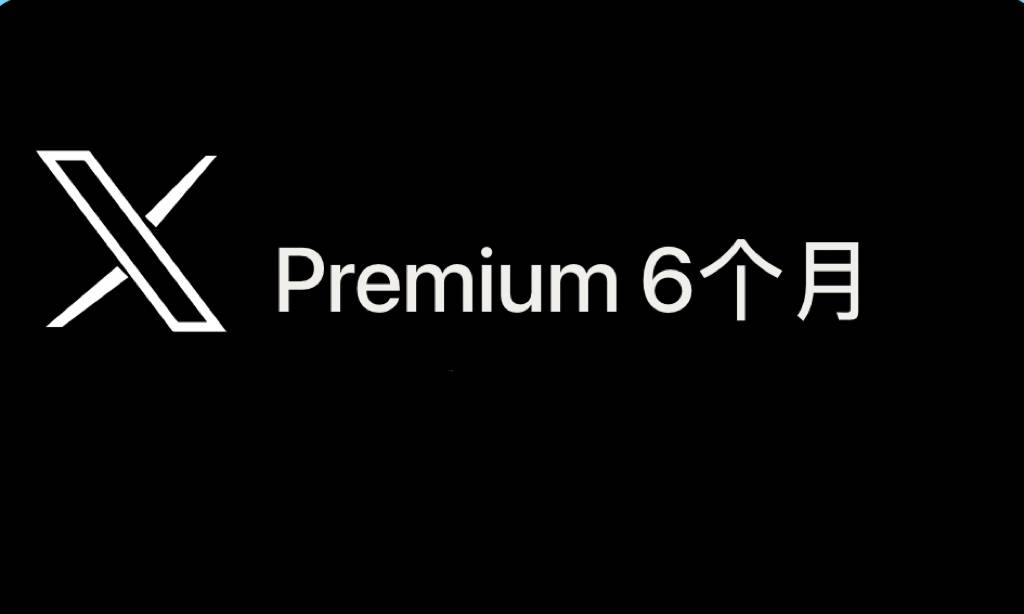 6个月蓝V X premuim商品图片