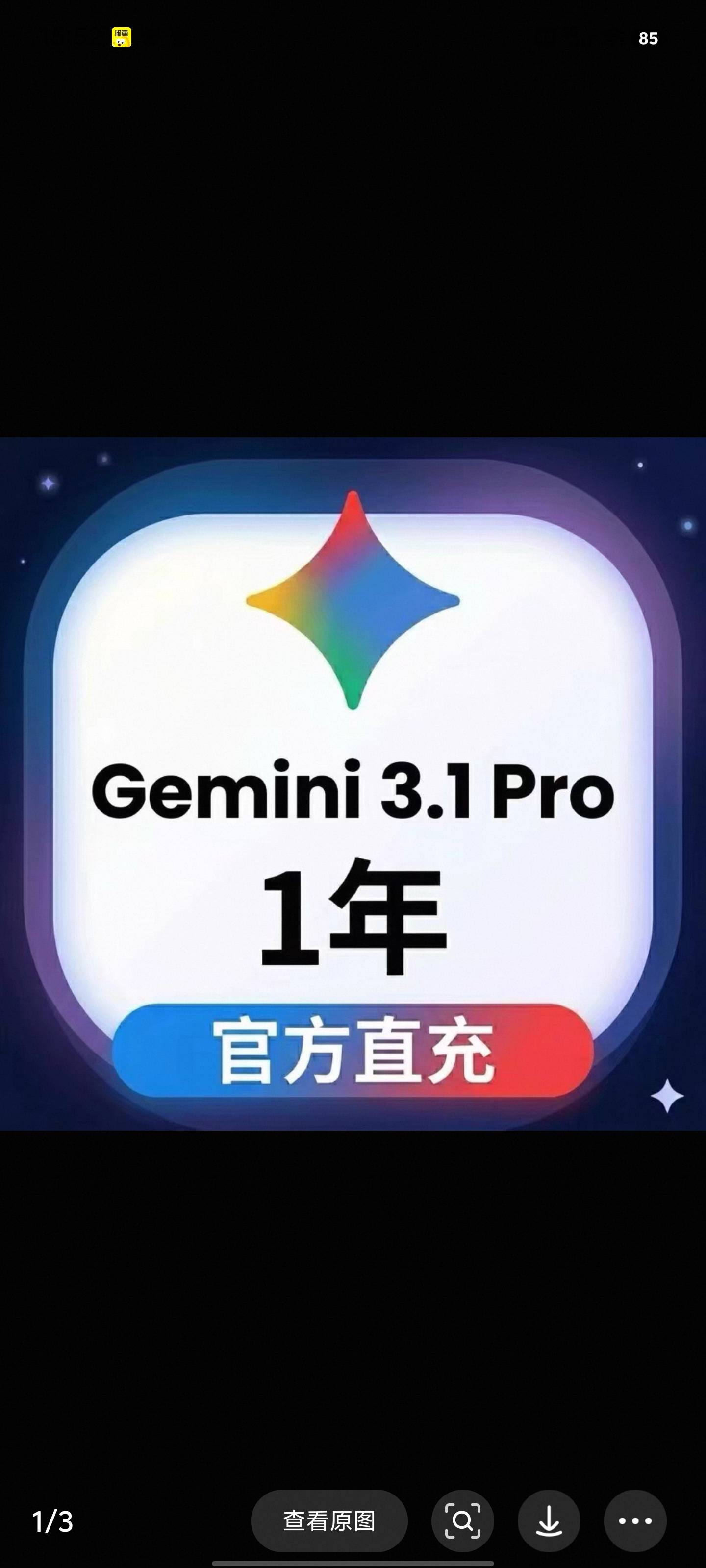 gemini 一年会员自助开通
