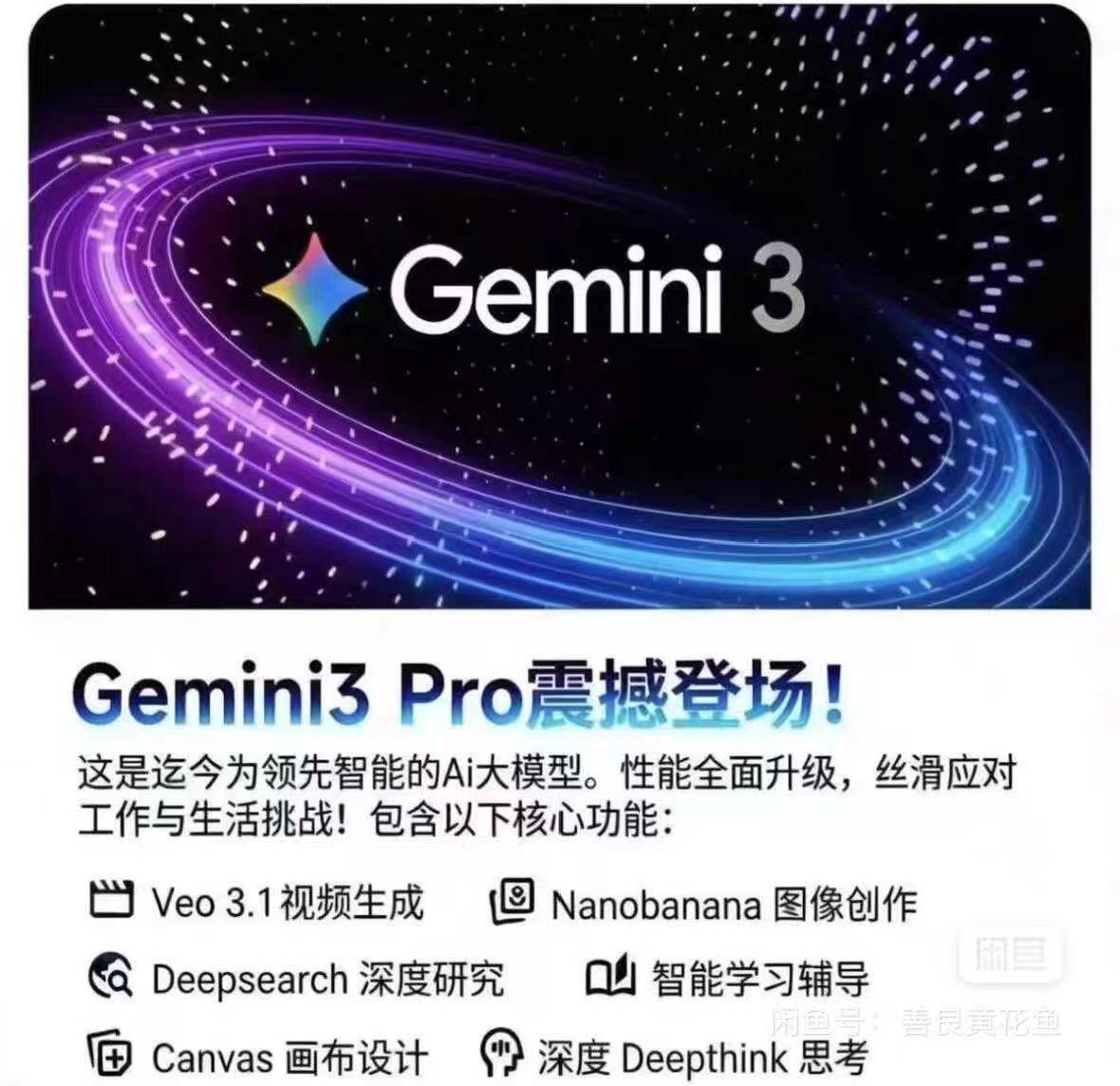 Geminipro一年商品图片