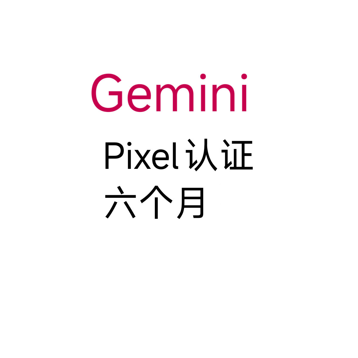 Gemini pro  pixel cdk 订阅pro 6个月包绑卡（单次卡）商品图片
