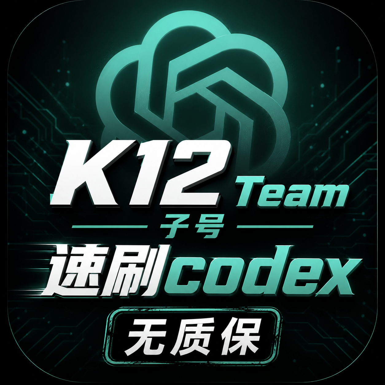 【codex-反代】k12 team子号成品（只能反代，买错不退）