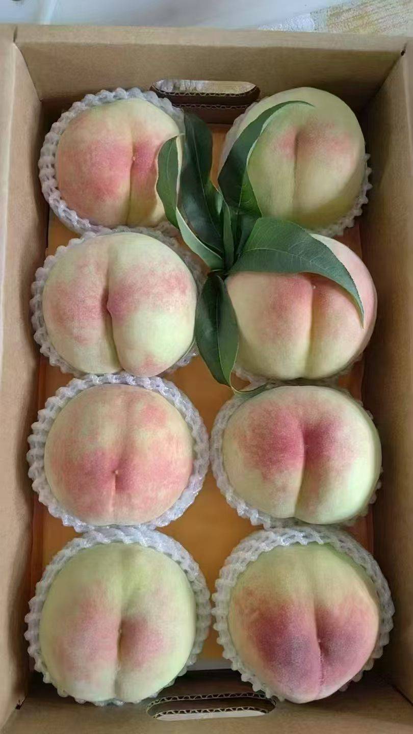正宗阳山水蜜桃