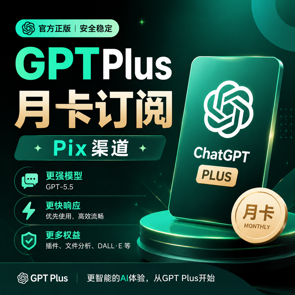 GPT-Plus 自助充值cdk-印度 UPI商品图片