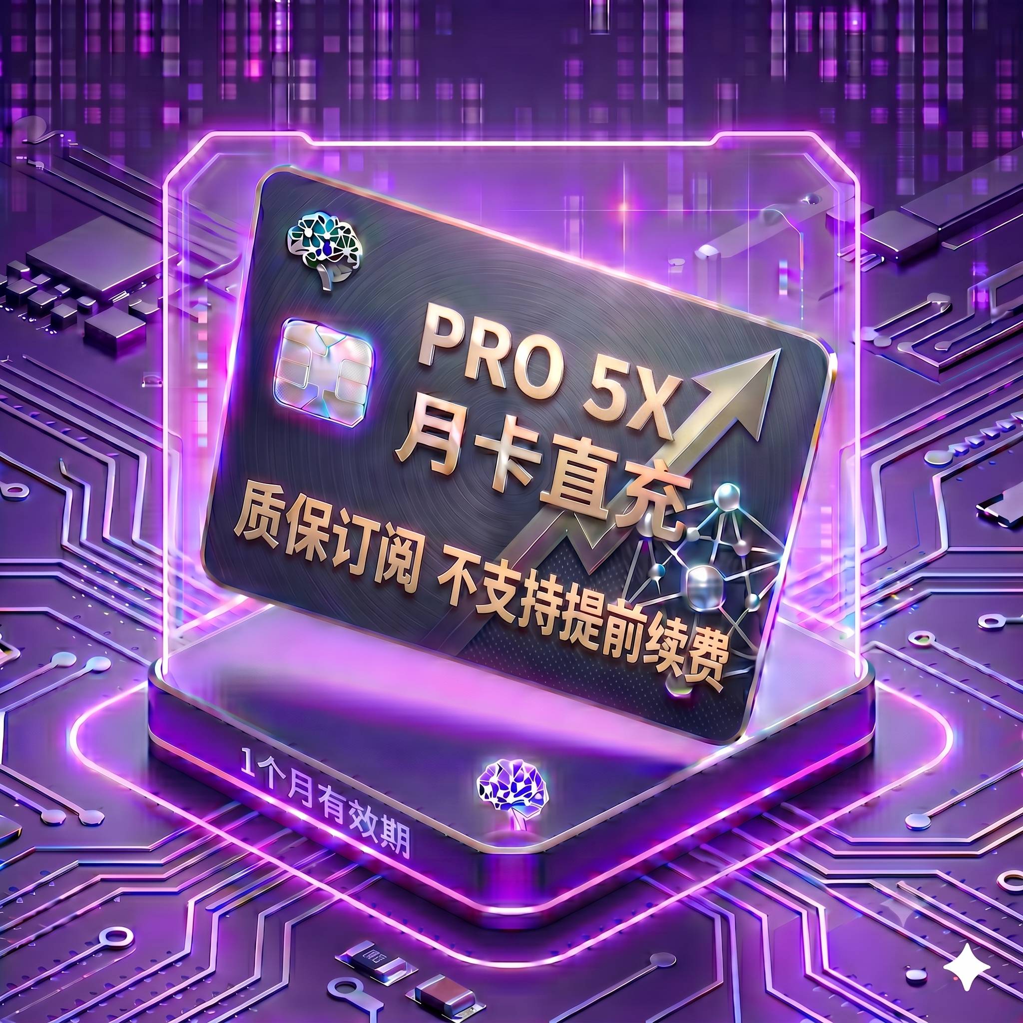 Pro 5X 稳定正规渠道直充1（质保订阅，封号不质保，支持覆盖升级，卡密自助充值服务）商品图片