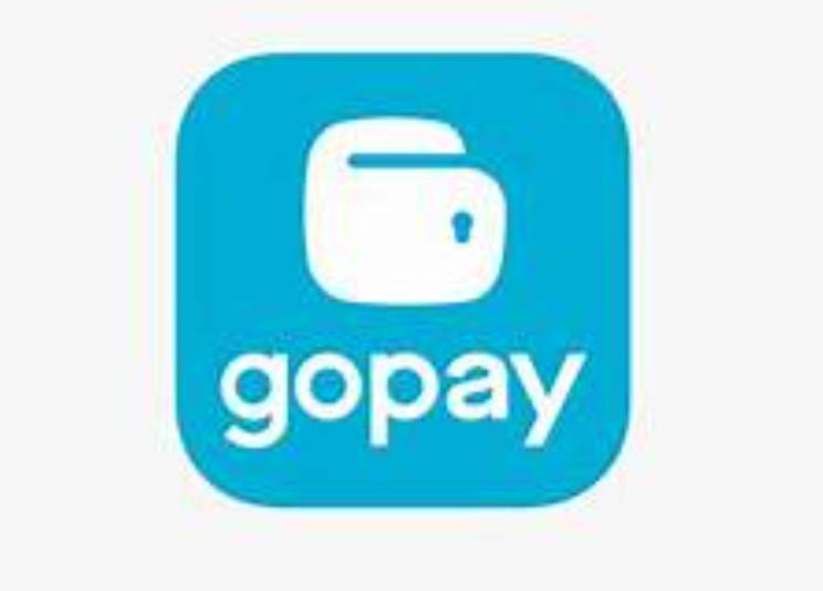 gopay |GOJEK 接码 印尼 【单次接码】缩略图