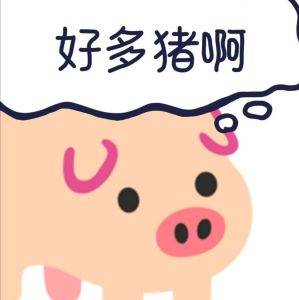 PigCode