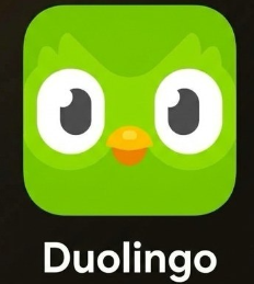 Duolingo Super - 12 个月 · 12月商品图片