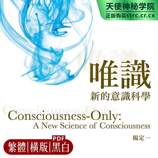 杨定一【唯识:新的意识科学】