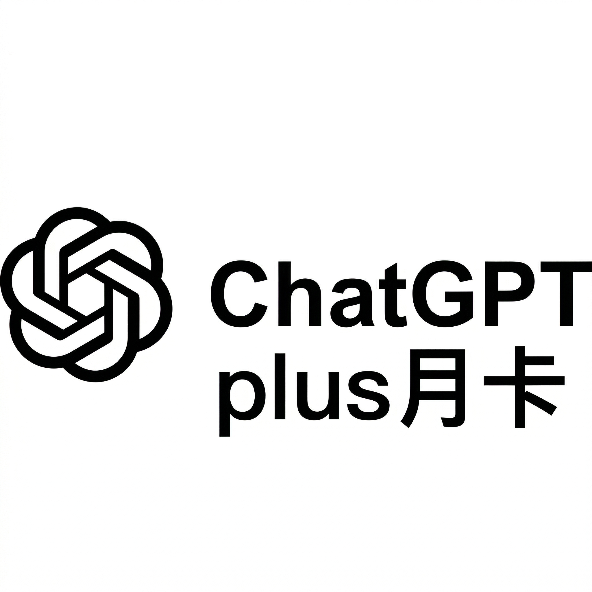 GPT plus月卡直充（91渠道)