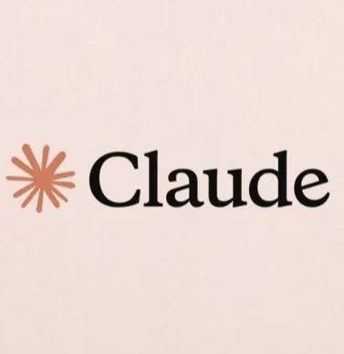 Claude pro 官方渠道充值