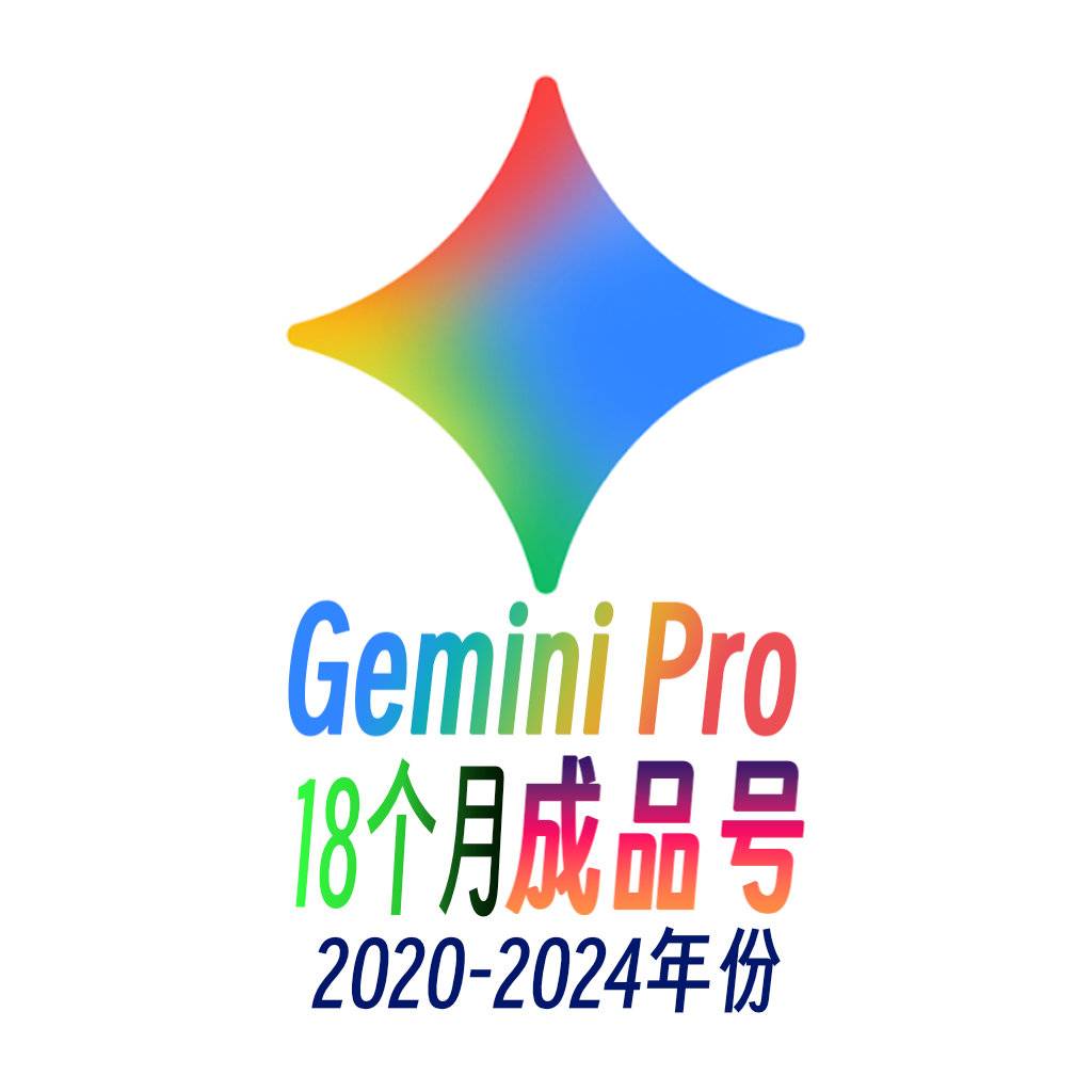 随机地区20-24年Gemini Pro18个月商品图片