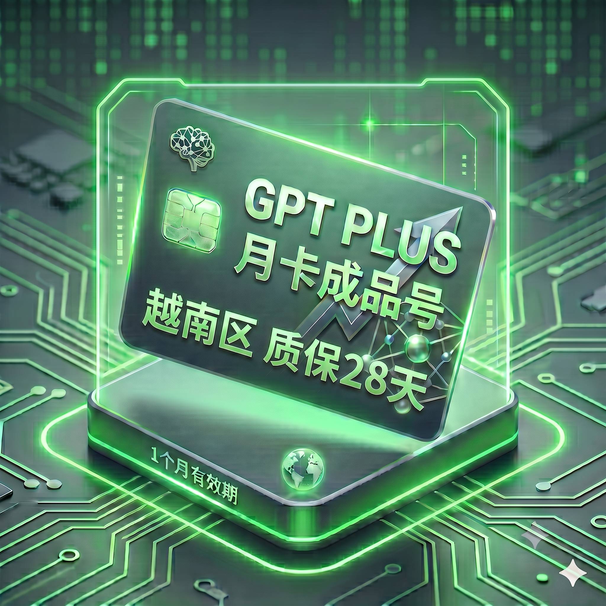 G P T PLUS稳定特殊渠道独享月卡成品号2（越南区，支持反代，购买28天内非禁止网络账号问题可免费更换或退剩余）商品图片