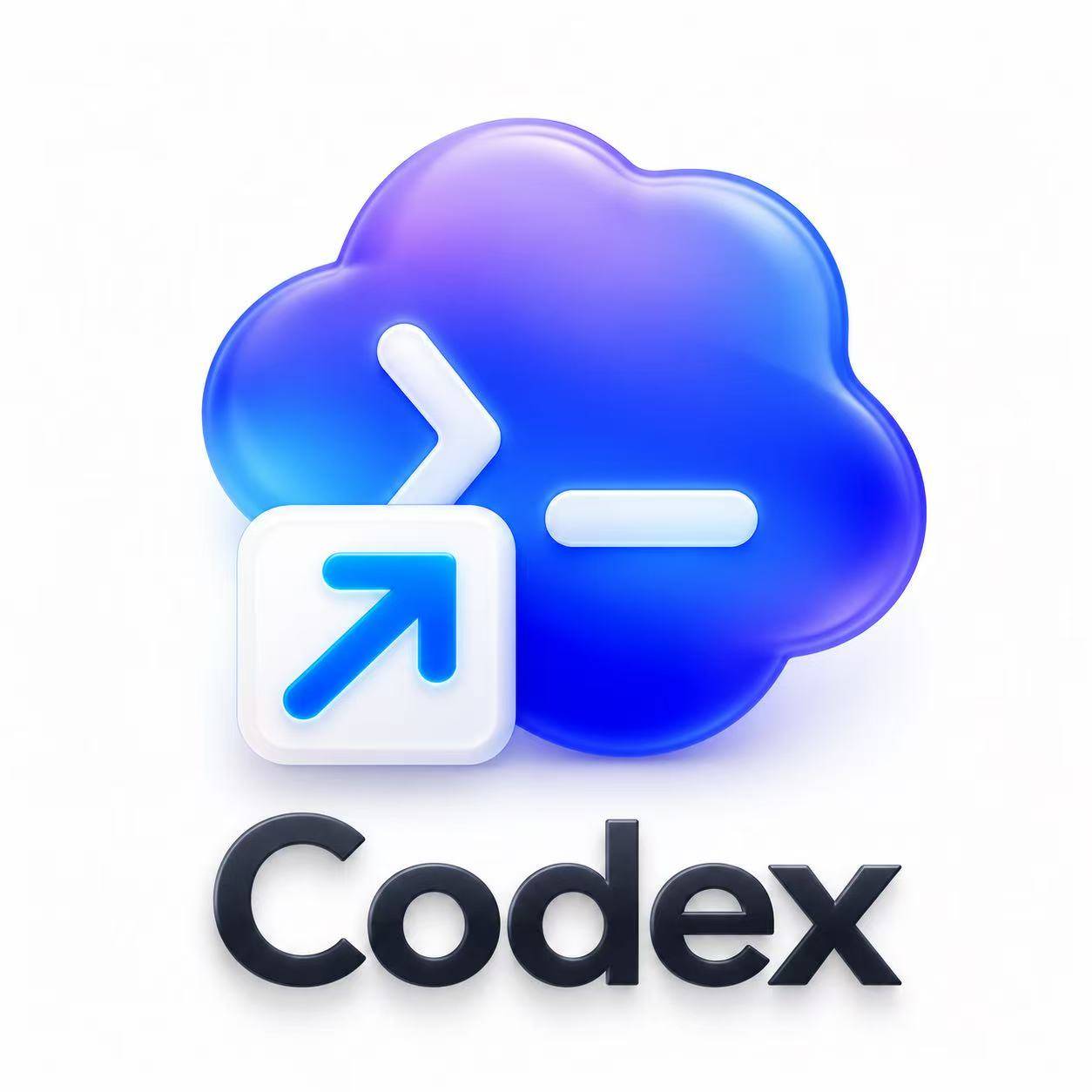 codex额度-500点