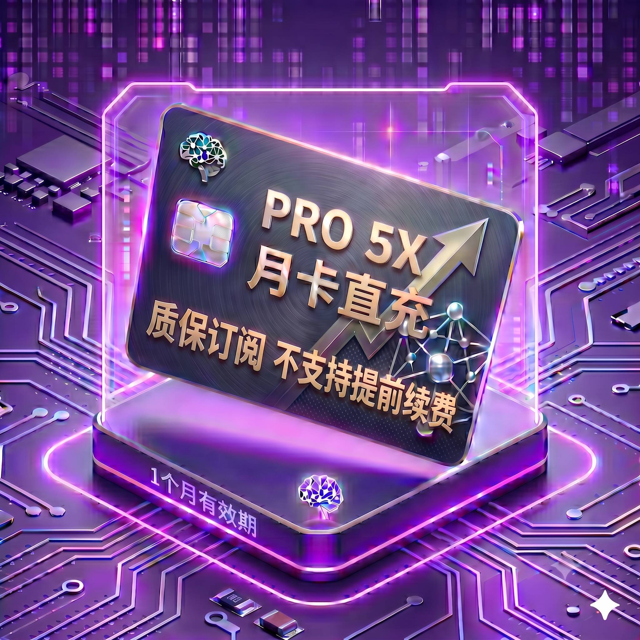 Pro 5X 稳定正规渠道直充2（质保订阅，封号不质保，支持覆盖升级，卡密自助充值服务）商品图片