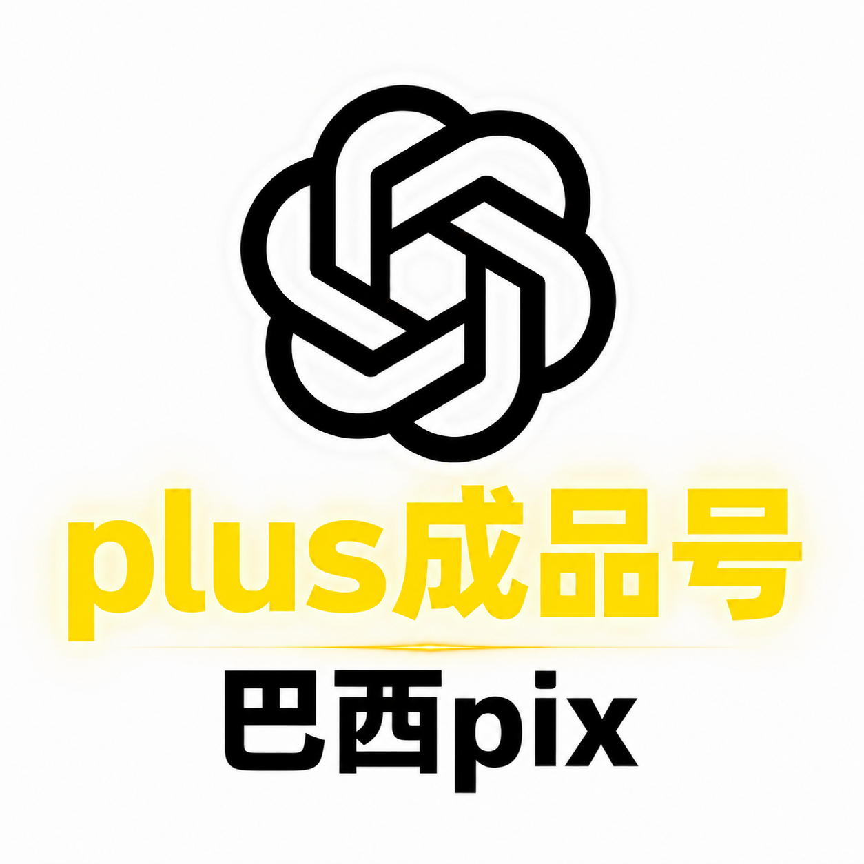gpt plus成品 巴西pix | 质保首登 | 日抛使用  codex需绑卡商品图片