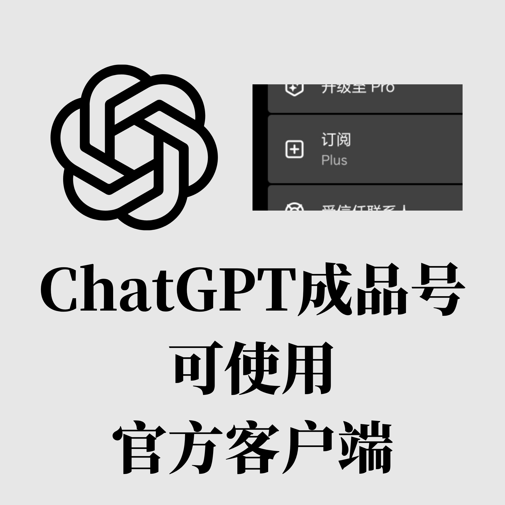 GPT Plus会员，仅限GPT官方客户端登录 无质保