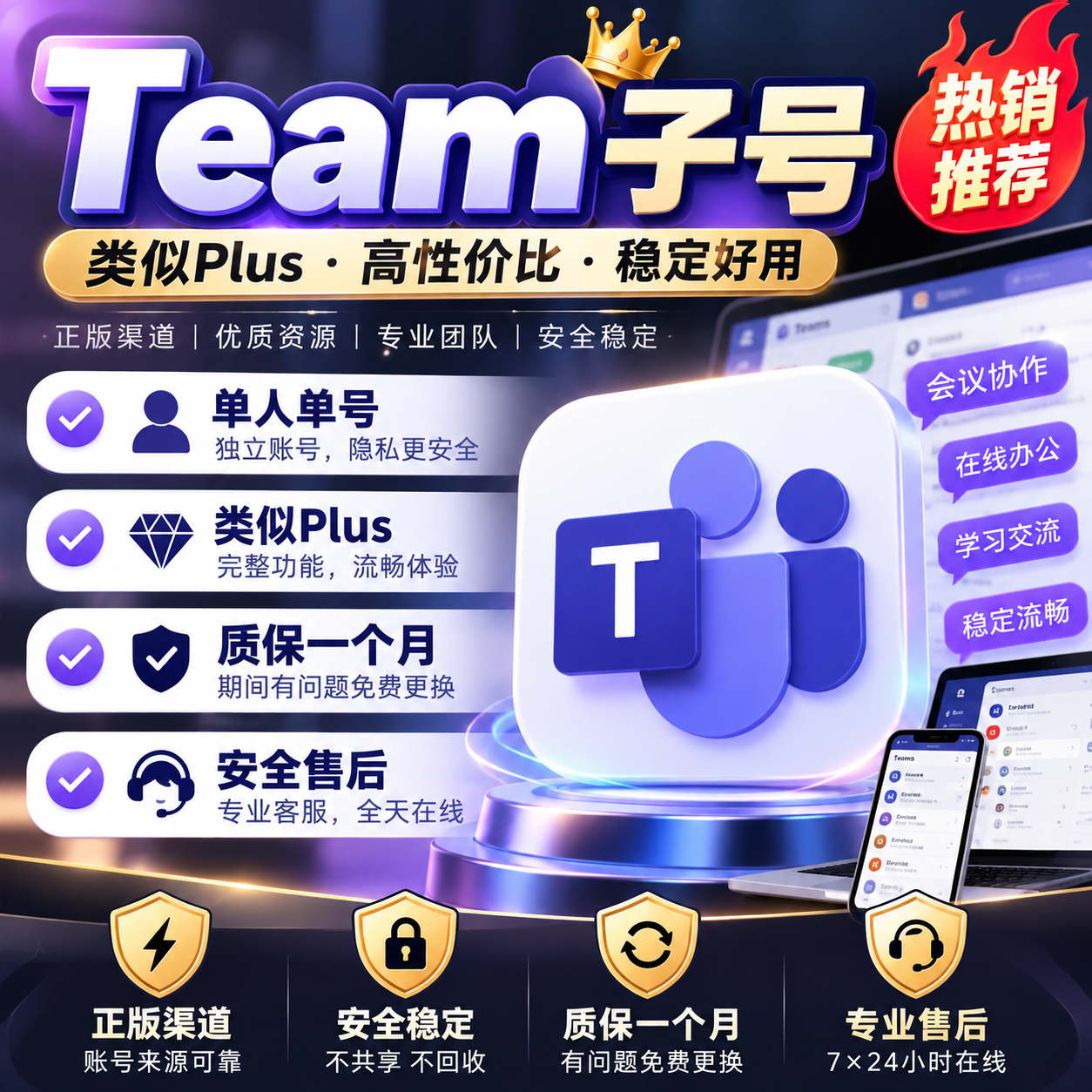Team子号，plus号，支持网页端，可用自己号商品图片
