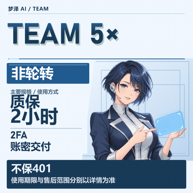 5x team 带重置卡 | 非轮换｜账号+密码+2FA｜质保2小时商品图片