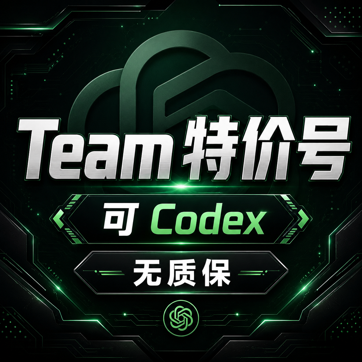 GPT Bug Team账号 带rt月限额 没被封能一直用 240+额度商品图片