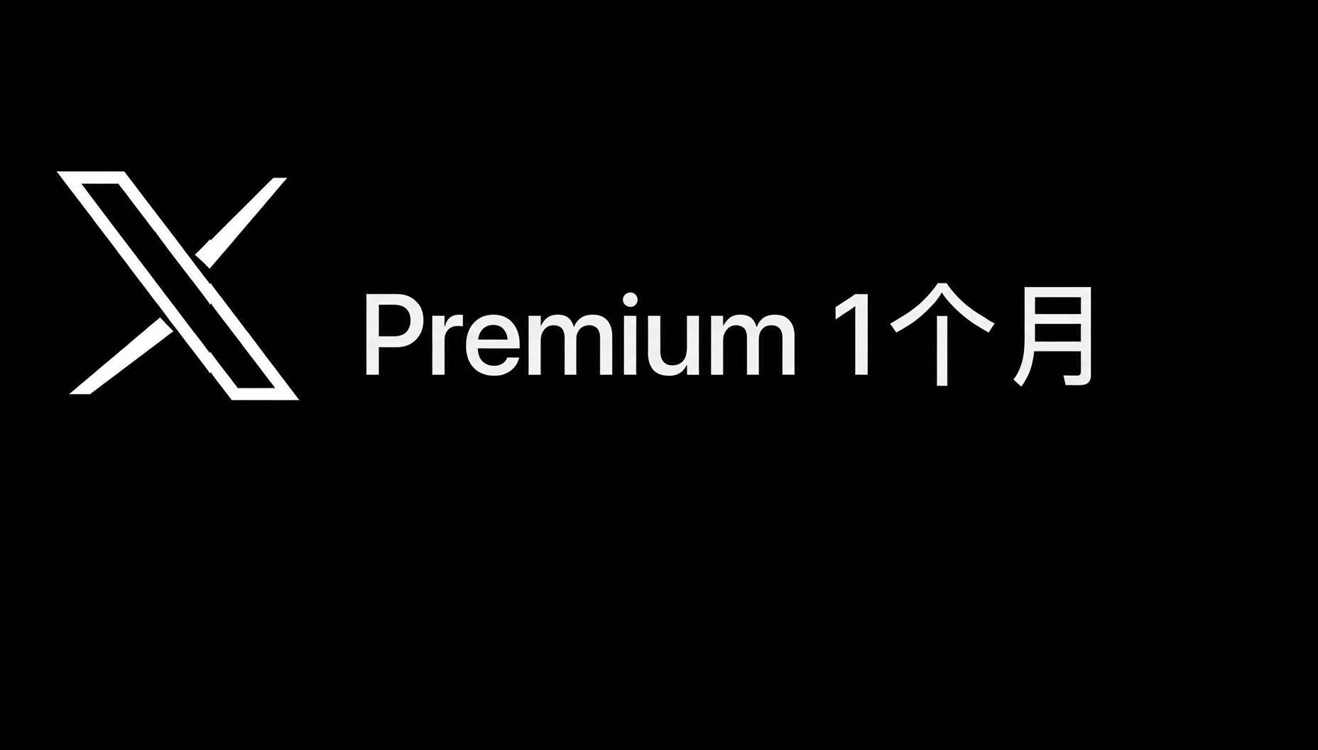 X-Premium自助卡密1 个月CDK 充值，旧版不是最新三合一商品图片