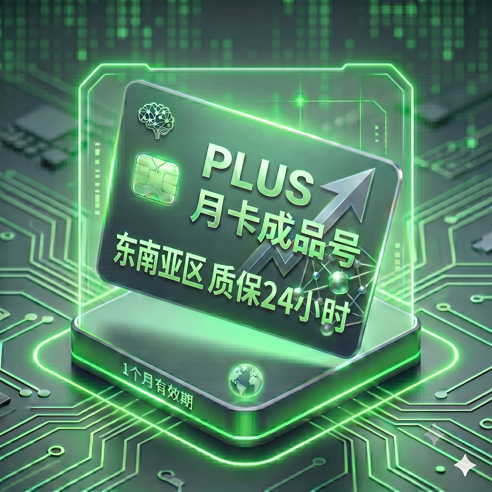 PLUS 特殊渠道独享月卡成品号3（东南亚区，支持反代，购买24小时内非禁止网络账号问题可免费更换一次）商品图片