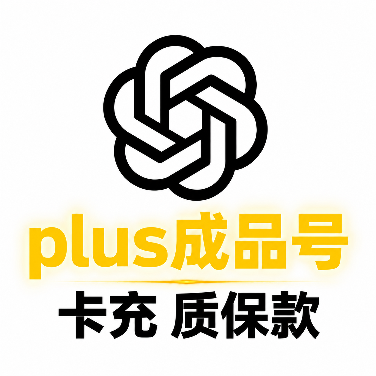 plus成品号 | 卡充·稳定款 | 质保28天 | 没接马 可预定现开商品图片