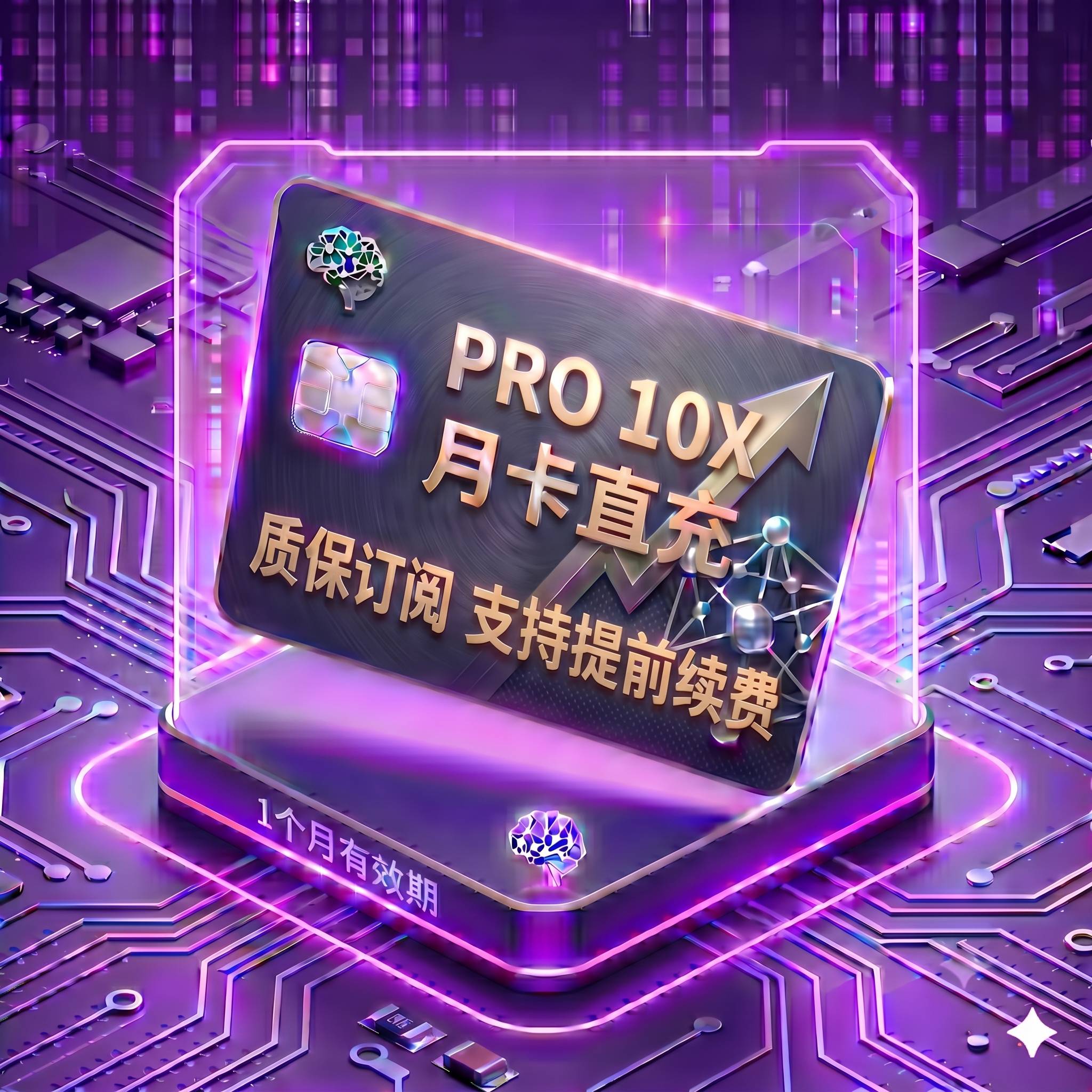 Pro 10X 稳定正规渠道直充4（质保订阅，封号不质保，支持覆盖升级，卡密自助充值服务）商品图片