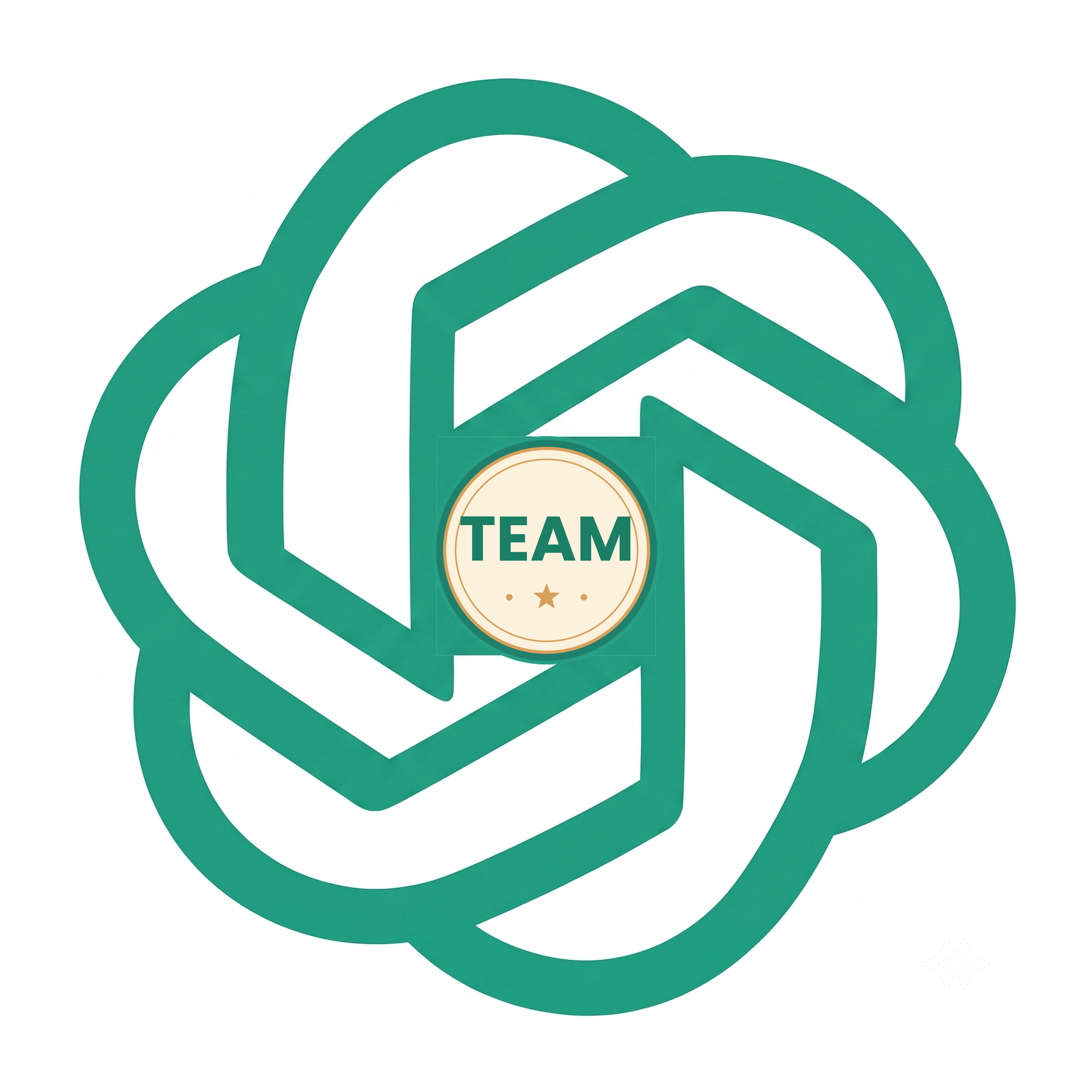 Team标准周限号 | 无5h限额 | 质保28天商品图片