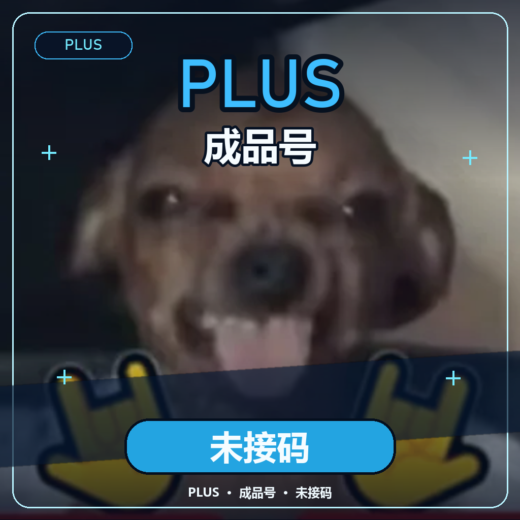【未接码】PLUS成品号PP渠道