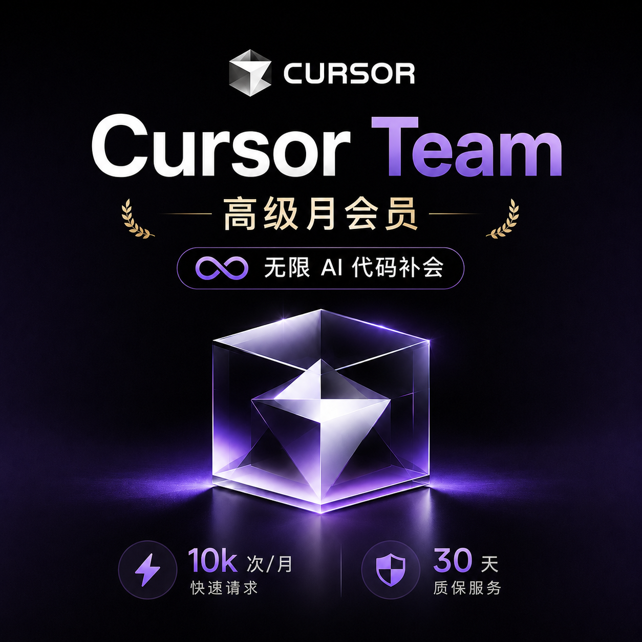 【速刷】Cursor Team