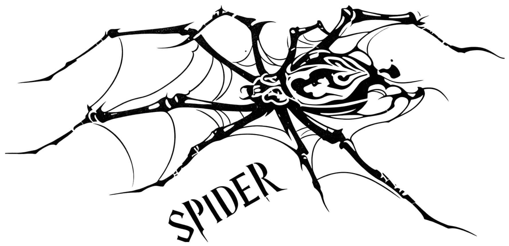 潮牌纹身图腾：蜘蛛🕷️【矢量图】