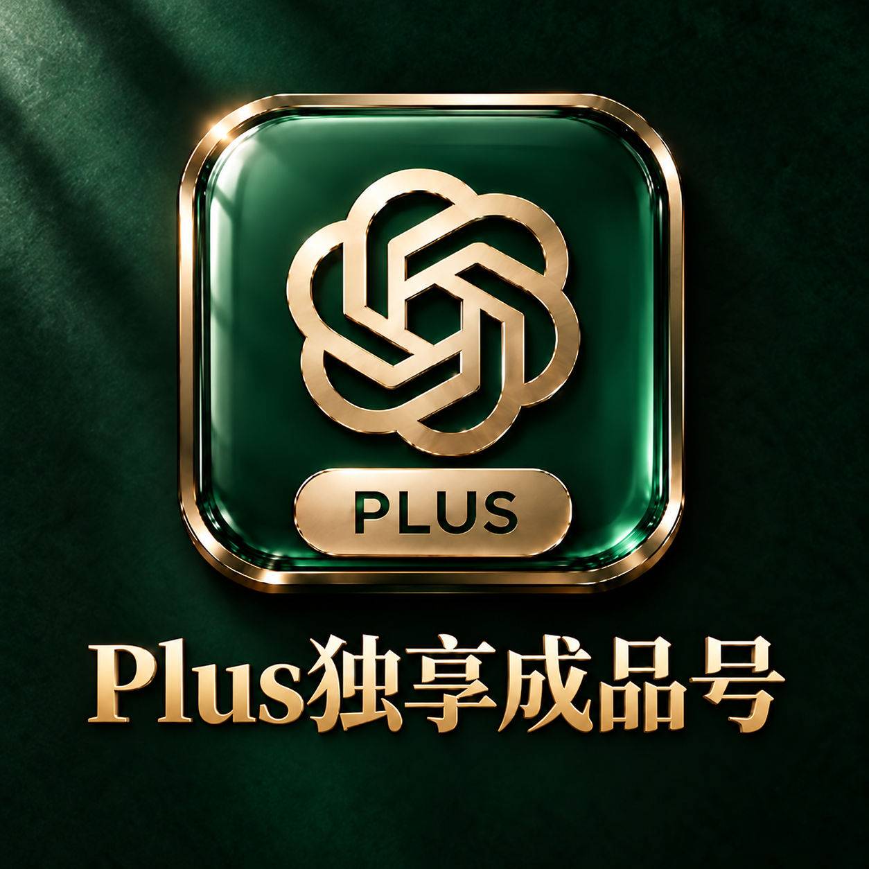 【质保30天订阅】OpenAI Plus半价代充独享成品【支持续费，升级，换绑】【半成品，看说明】商品图片