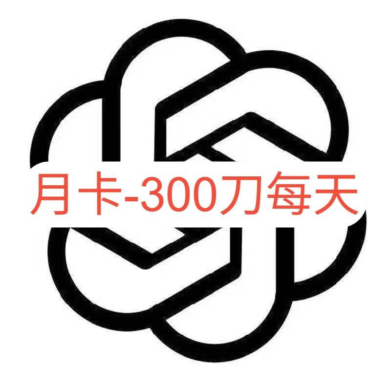 auto-code 月卡-每天300刀额度商品图片