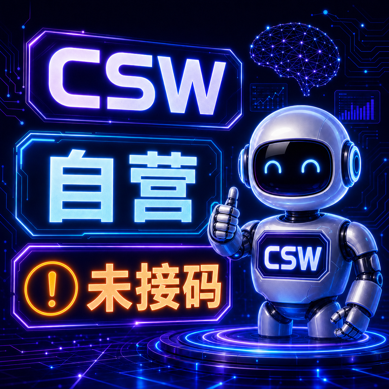 【自营】plus 账号（upi渠道）-没有接码商品图片