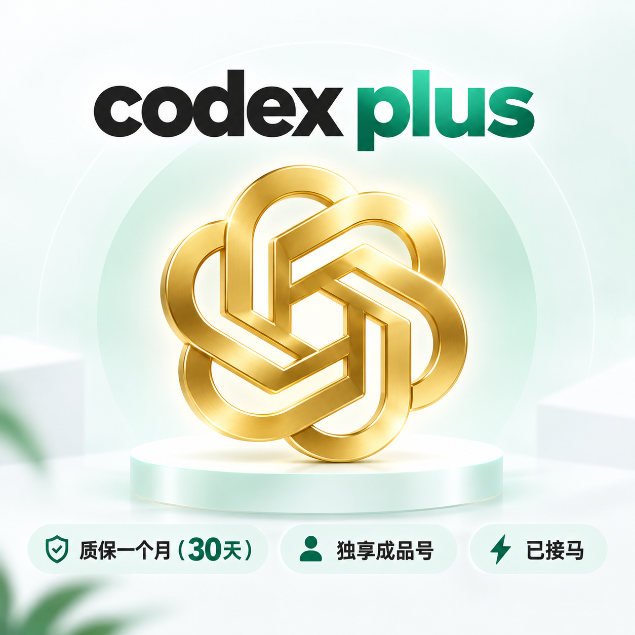 codex plus 质保一个月（30天） 独享成品号 已接马|codex成品号商品图片
