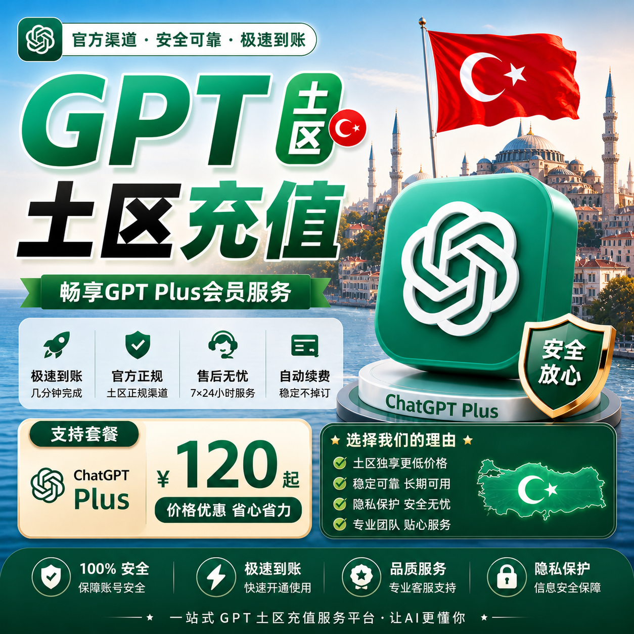 plus土区直充（官方渠道）商品图片